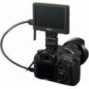 LCD monitoriai filmavimui